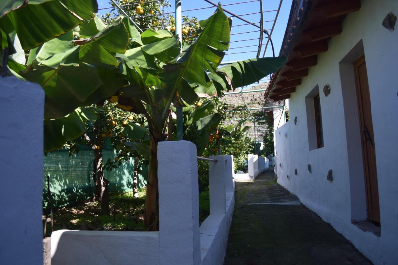 Appartamento Casa Camino Tamadaba Agaete  Esterno foto