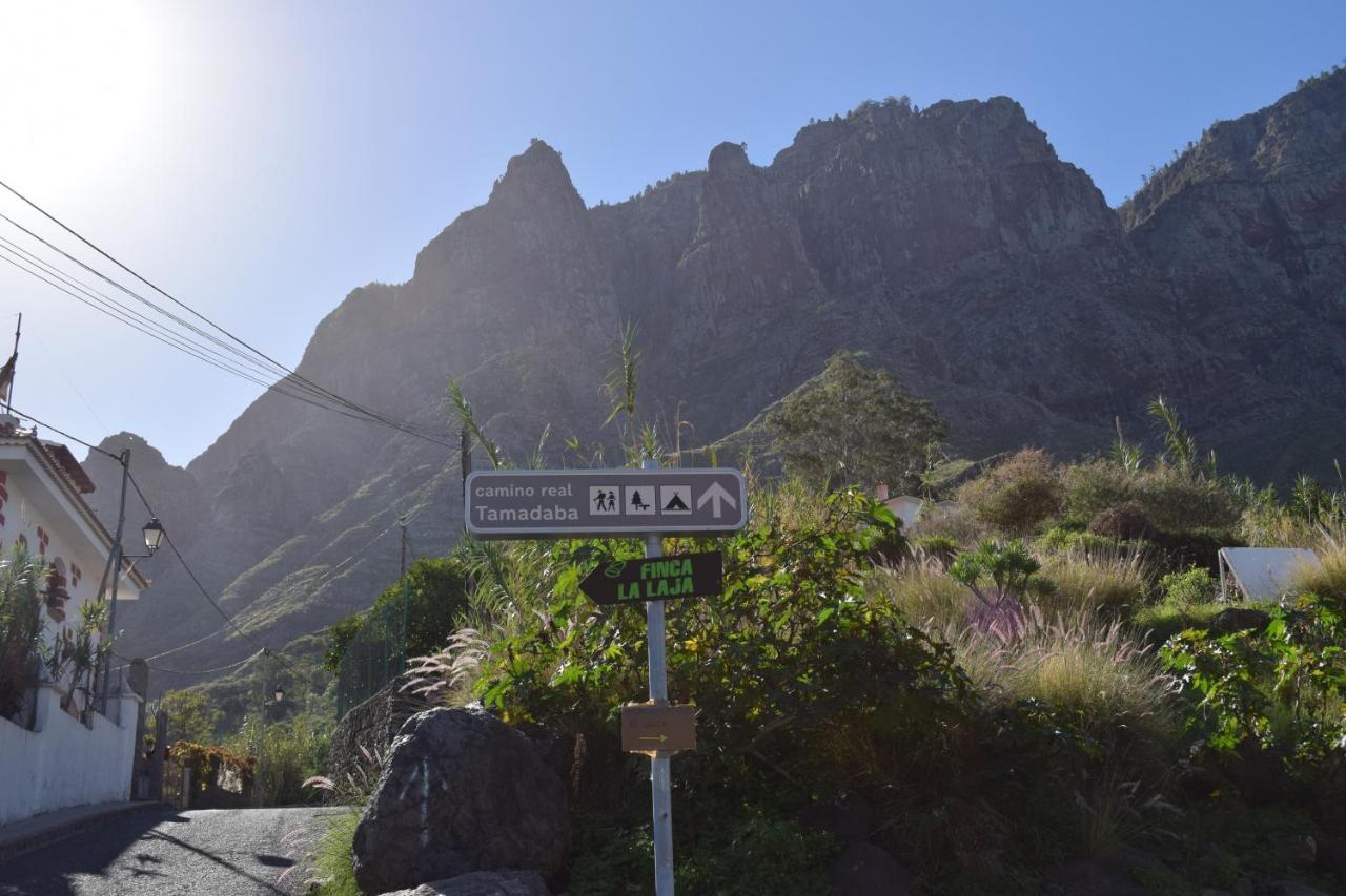 Appartamento Casa Camino Tamadaba Agaete  Esterno foto