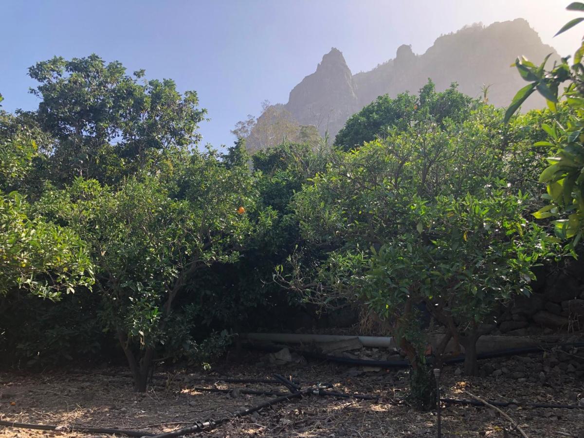 Appartamento Casa Camino Tamadaba Agaete  Esterno foto