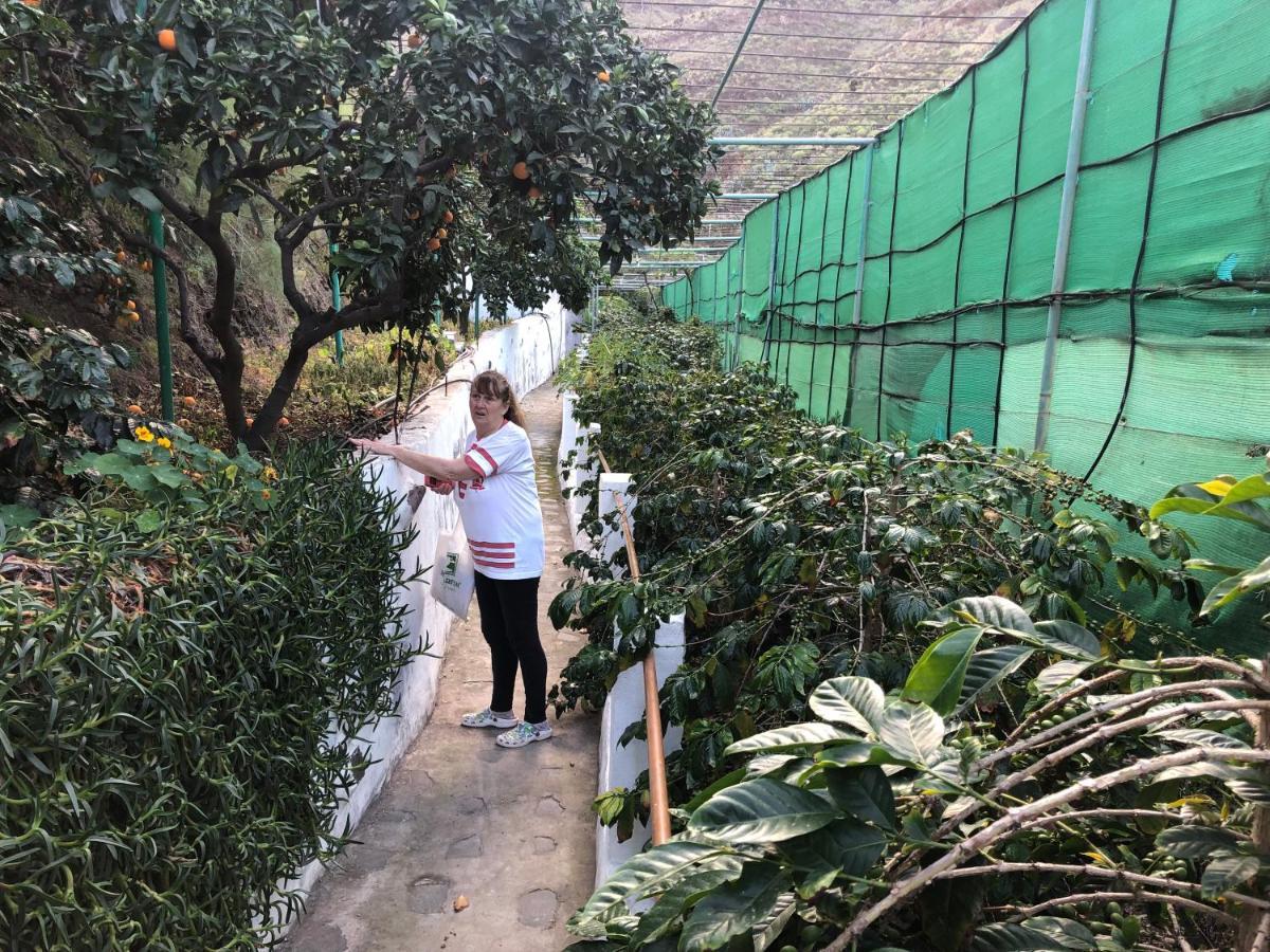 Appartamento Casa Camino Tamadaba Agaete  Esterno foto