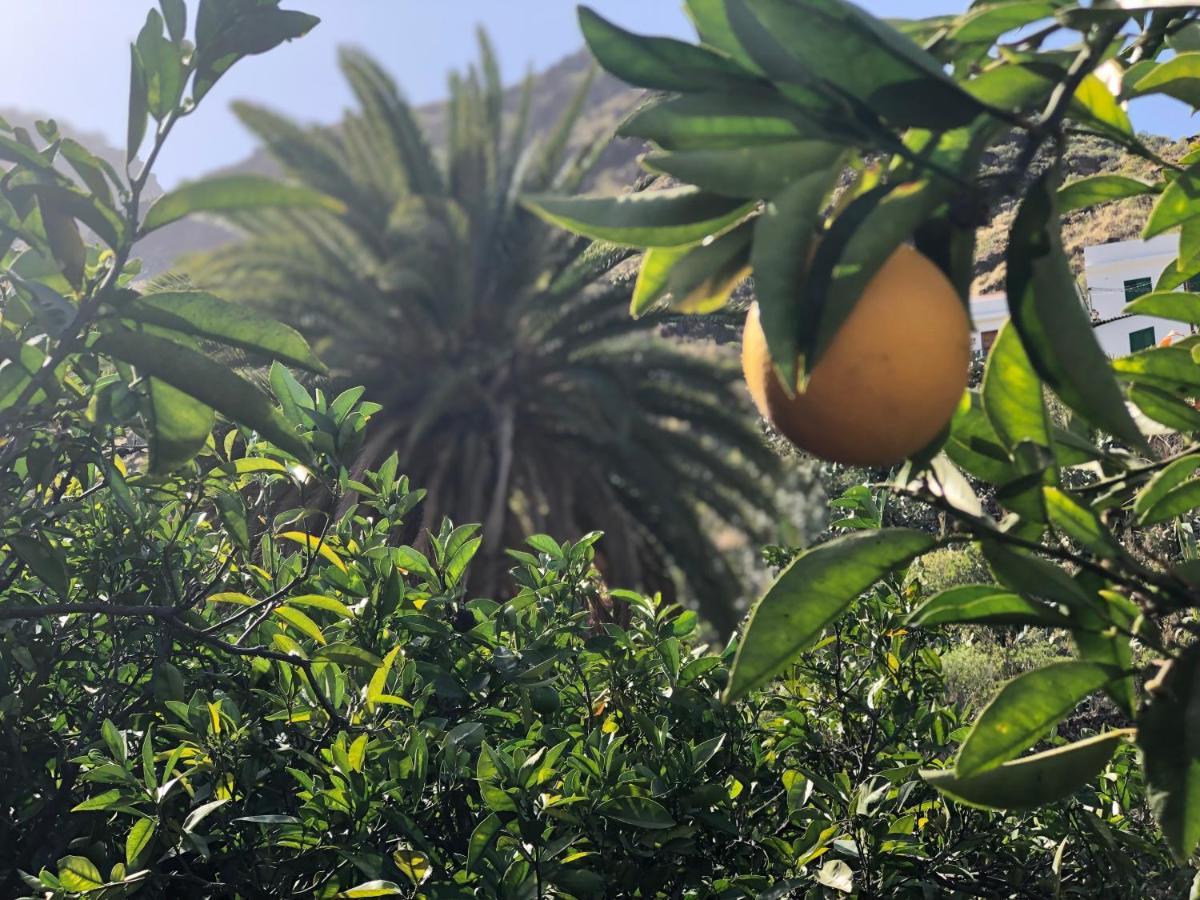 Appartamento Casa Camino Tamadaba Agaete  Esterno foto