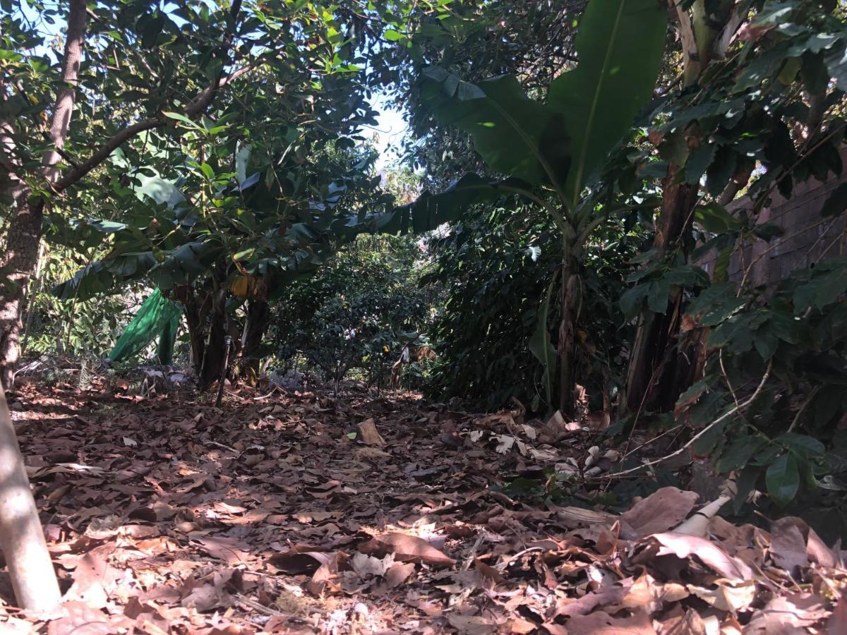 Appartamento Casa Camino Tamadaba Agaete  Esterno foto
